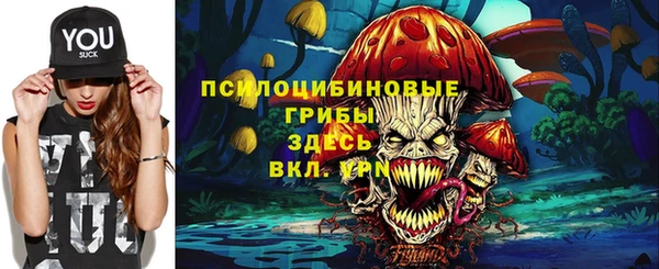 прущая мука Пересвет