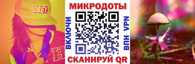 где продают наркотики Новоалександровск Псилоцибиновые грибы мухоморы