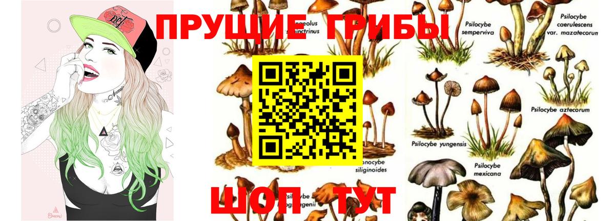 Псилоцибиновые грибы MAGIC MUSHROOMS Новоалександровск