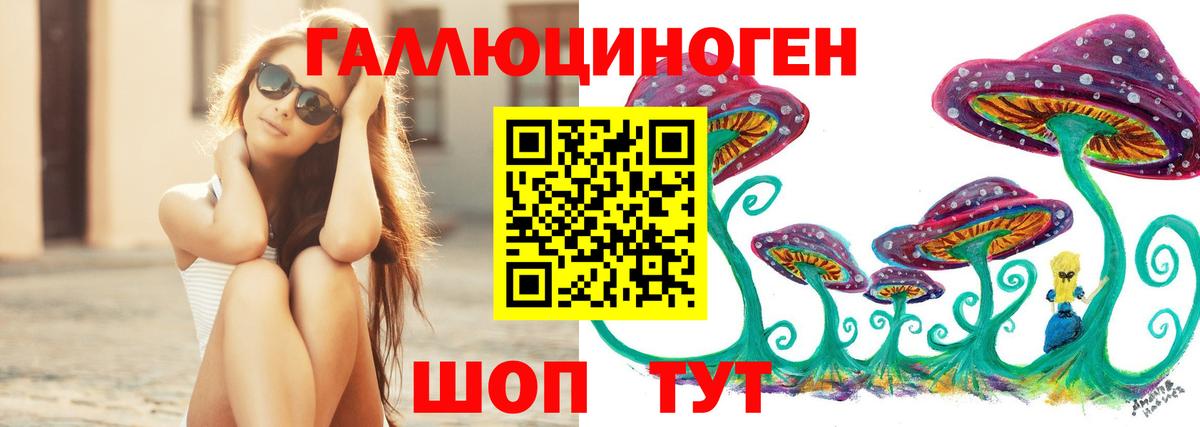 Новоалександровск  Галлюциногенные грибы Psilocybe  Вход с VPN 