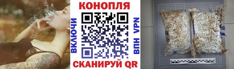 Канабис план  гидра маркетплейс  Новоалександровск 